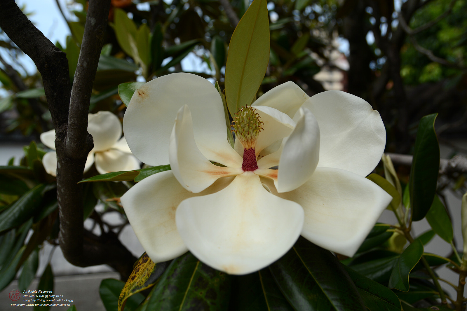 DSC_3454.jpg